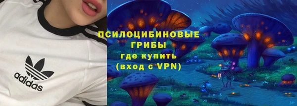 спиды Инсар