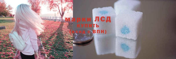 спиды Инсар