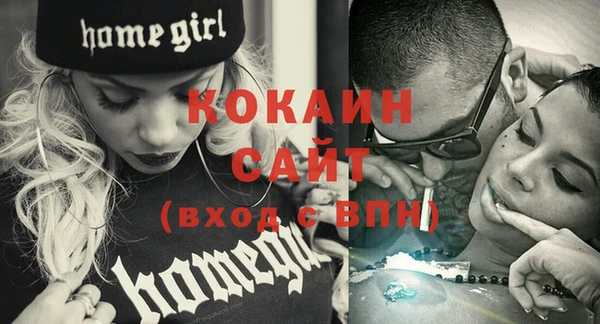 спиды Инсар