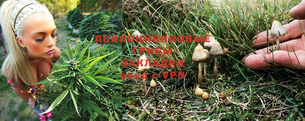 спиды Инсар