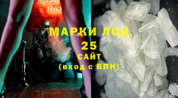 спиды Инсар